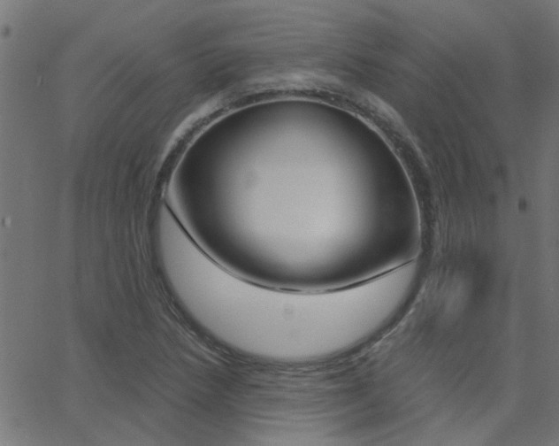 X0000068761218200604280943
