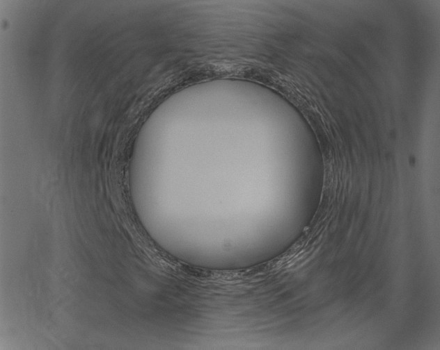 X0000068761249200604280943