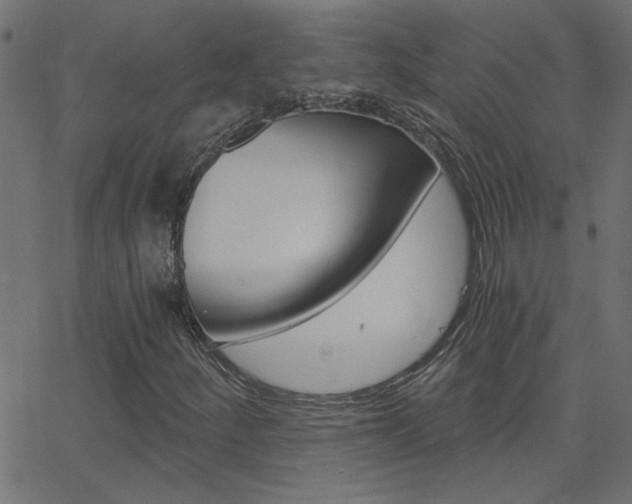 X0000068761252200604280943