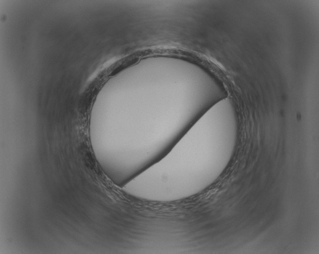 X0000068761255200604280943