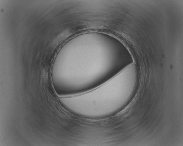 X0000068761257200604280943