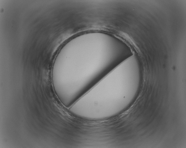 X0000068761260200604280943