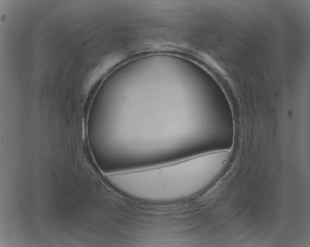 X0000068761269200604280943