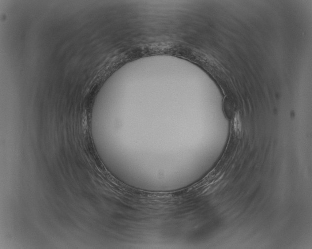 X0000068761299200604280942