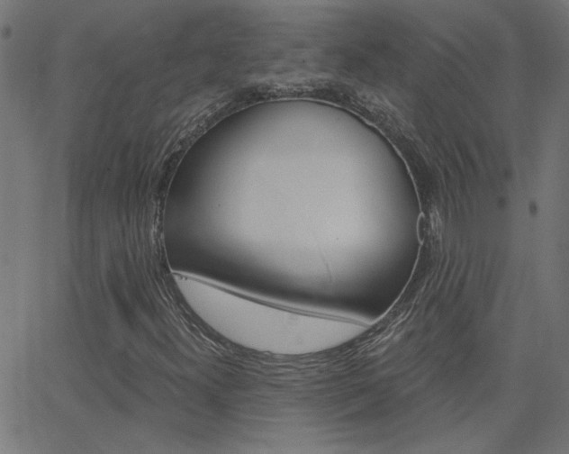 X0000068761300200604280942