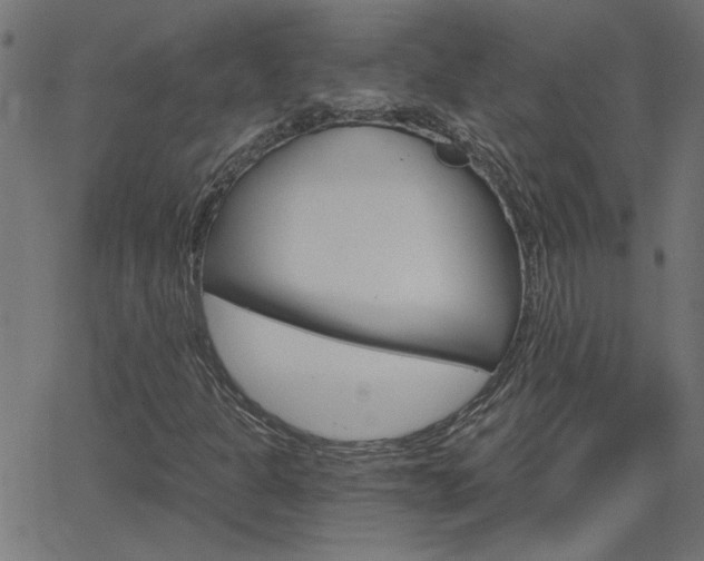 X0000068761301200604280942