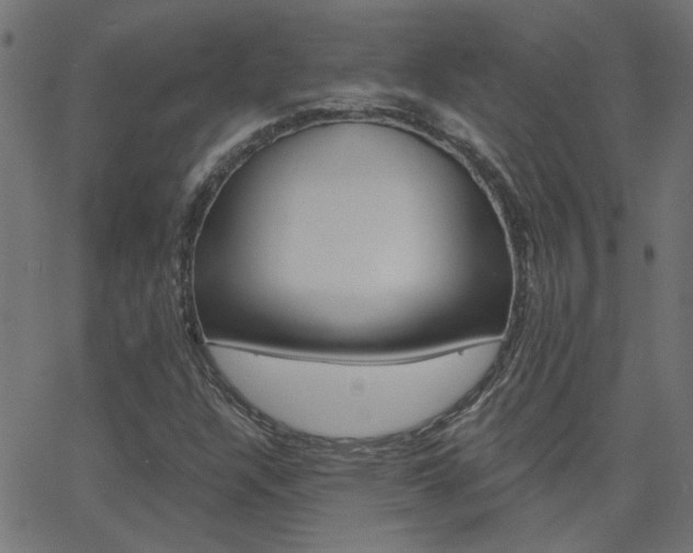 X0000068761304200604280942