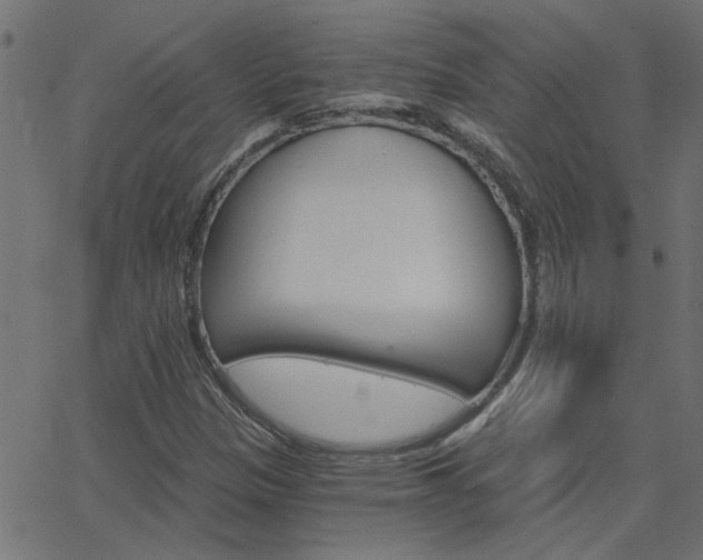 X0000068761305200604280942