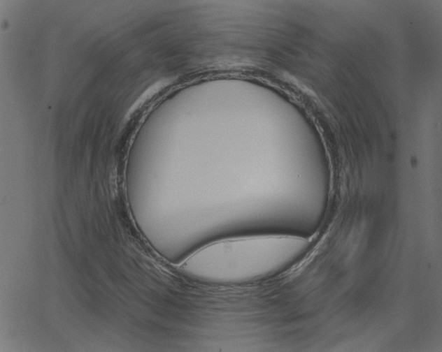 X0000068761306200604280942