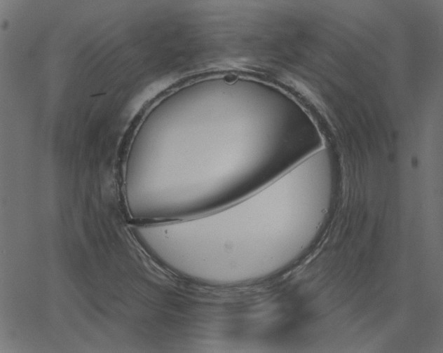 X0000068761308200604280942