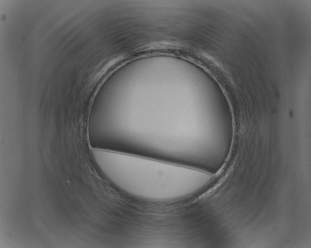 X0000068761313200604280942
