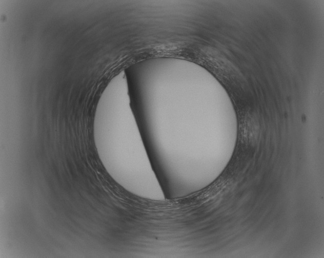X0000068761346200604280941