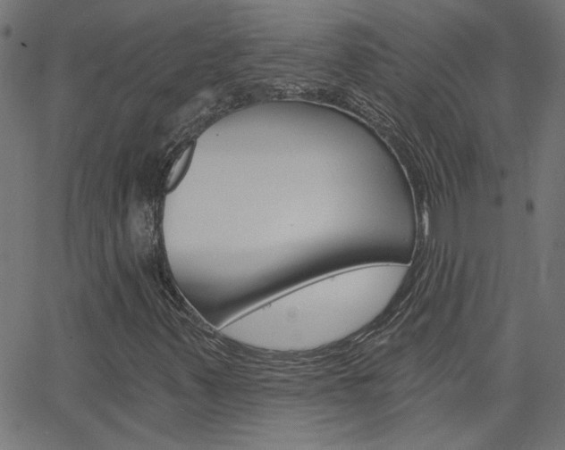 X0000068761347200604280941