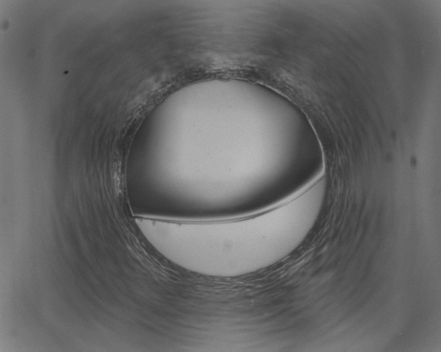 X0000068761348200604280941