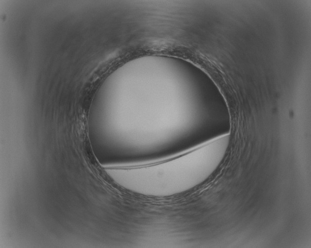 X0000068761349200604280941