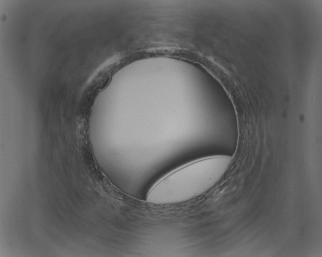 X0000068761351200604280941