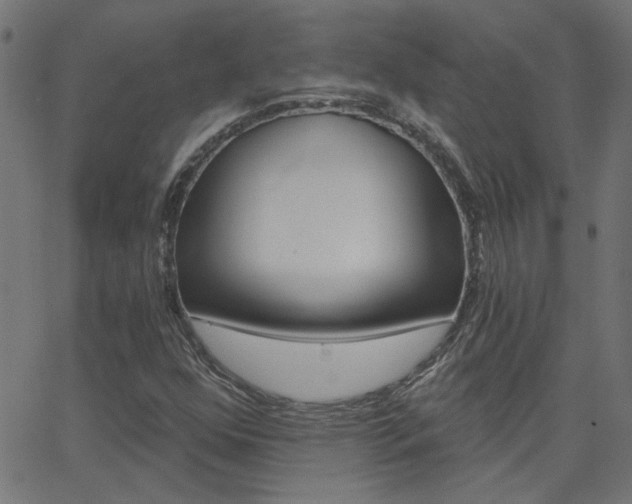 X0000068761352200604280941