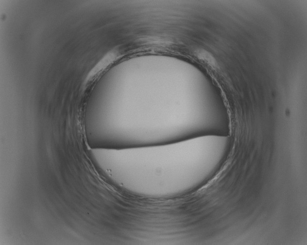 X0000068761354200604280941