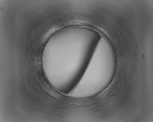 X0000068761355200604280941