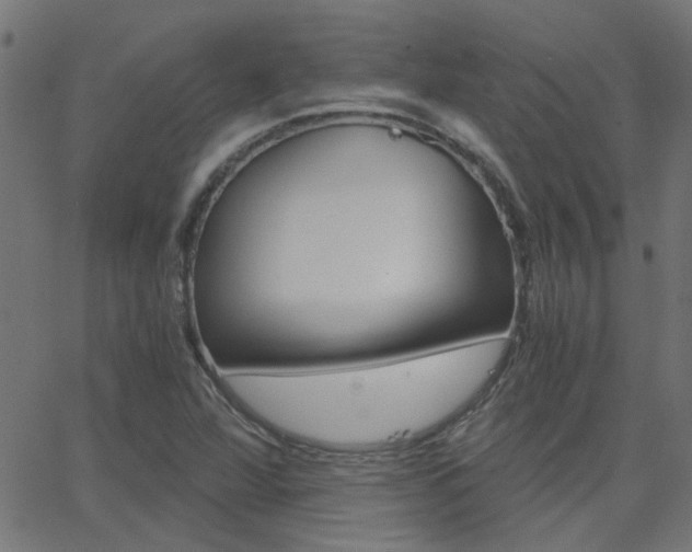 X0000068761360200604280941