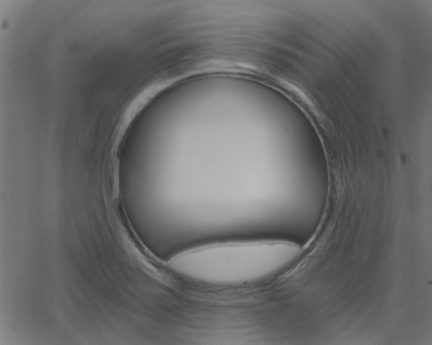 X0000068761371200604280941