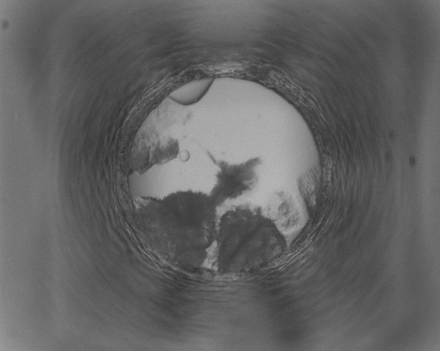 X0000068761393200604280940