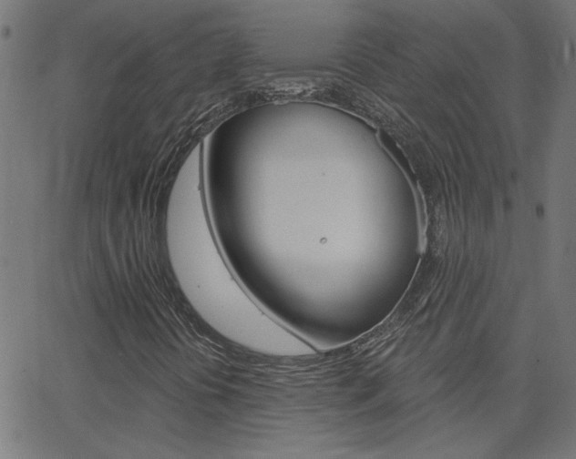 X0000068761394200604280940