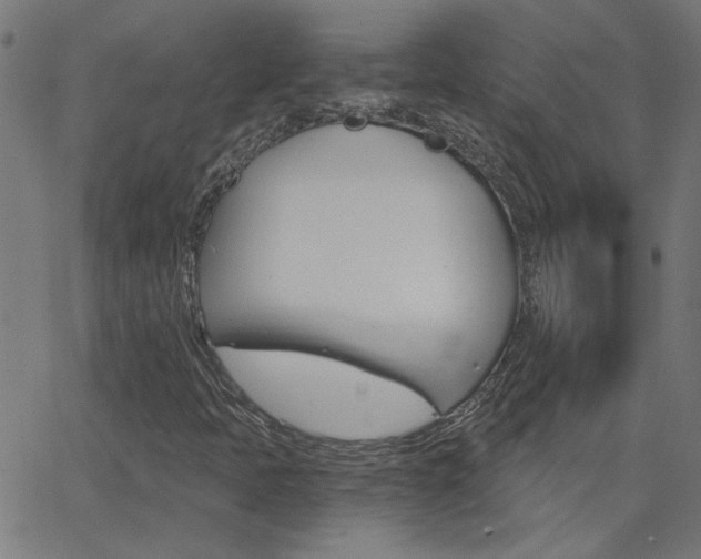 X0000068761397200604280940