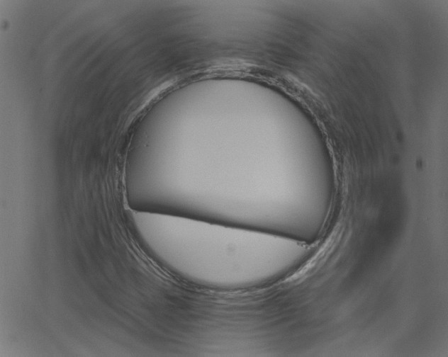 X0000068761401200604280940