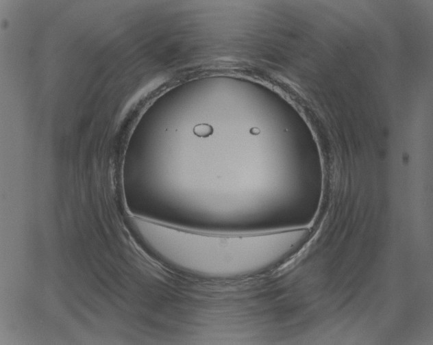 X0000068761402200604280940