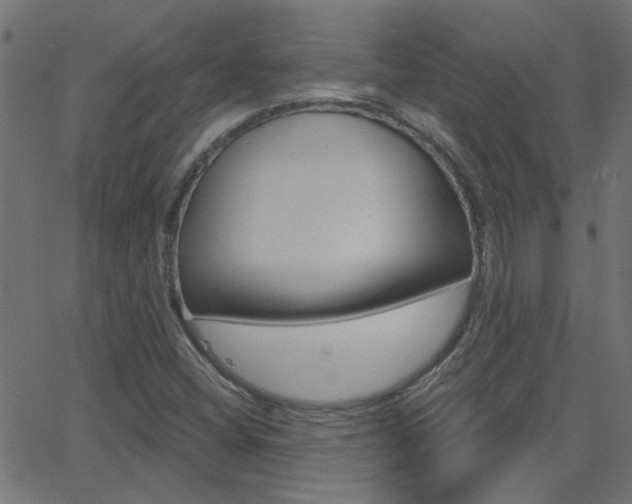 X0000068761404200604280940