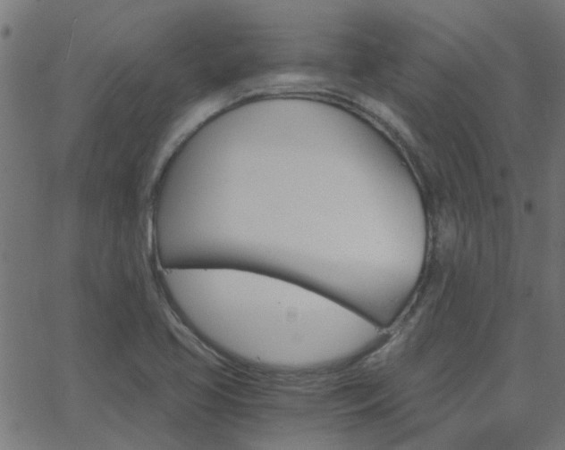 X0000068761413200604280940