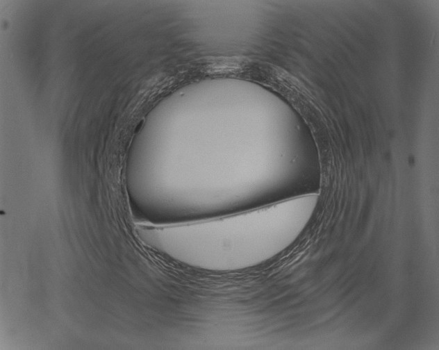 X0000068761441200604280940