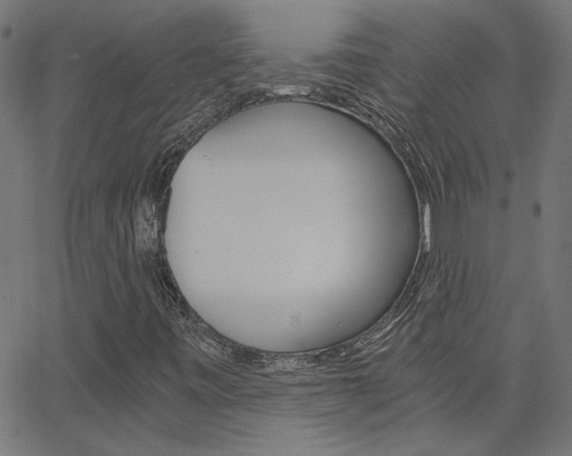 X0000068761443200604280940
