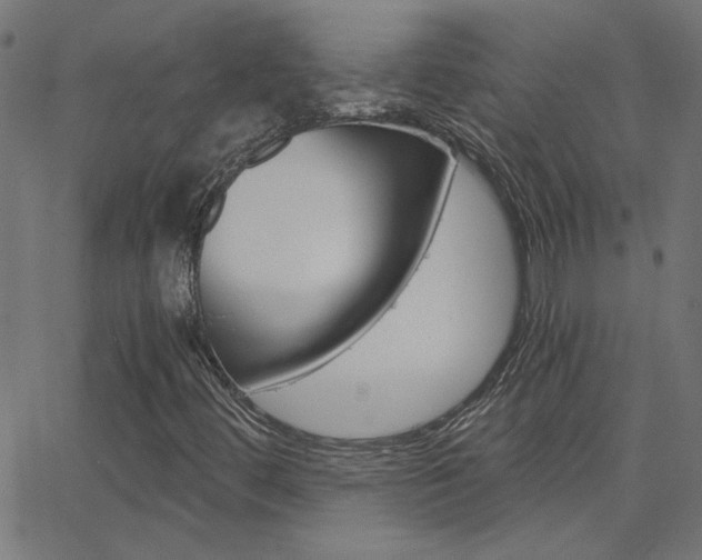 X0000068761444200604280940