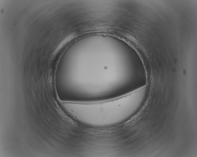 X0000068761450200604280940