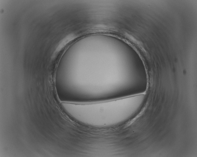 X0000068761453200604280940