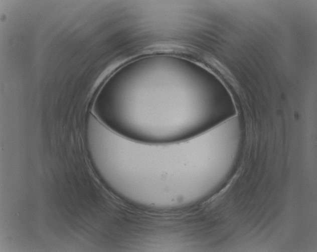 X0000068761465200604280940