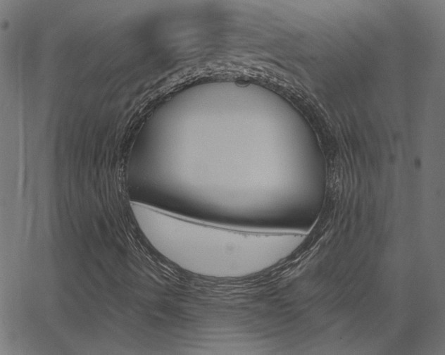 X0000068761490200604280938