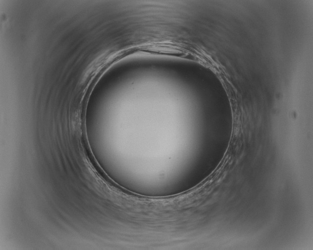 X0000068760002200604281224