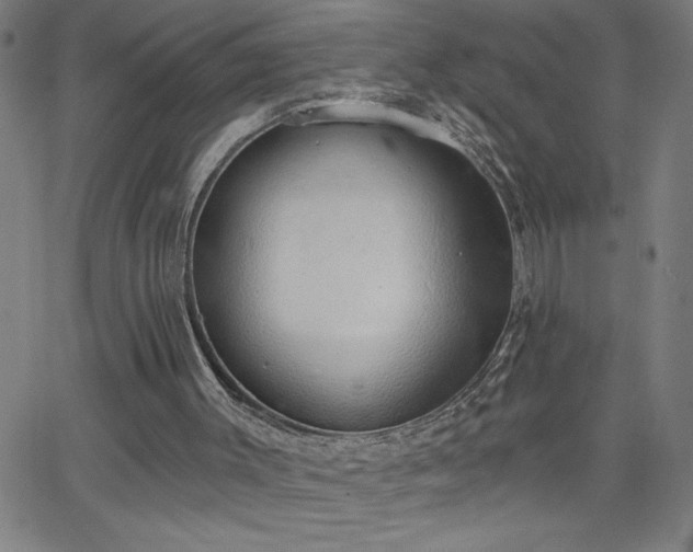 X0000068760003200604281224