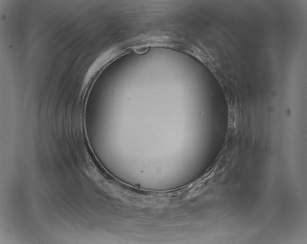X0000068760004200604281224