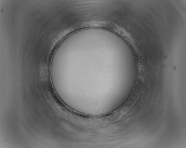 X0000068760012200604281224
