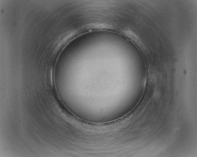 X0000068760014200604281224