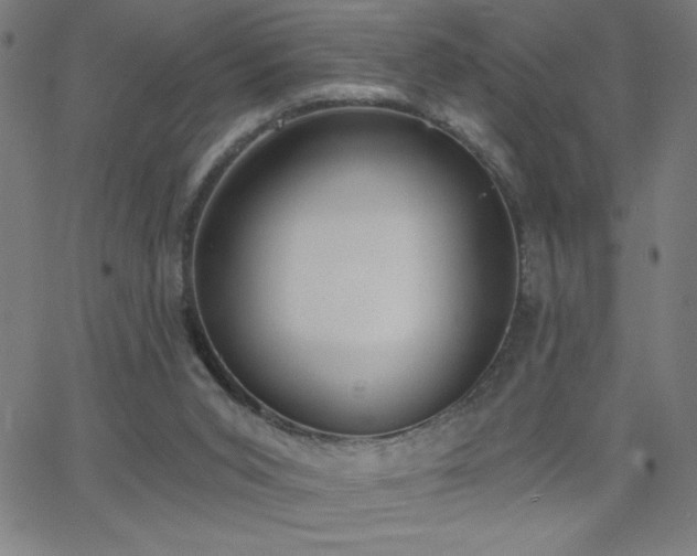 X0000068760015200604281224