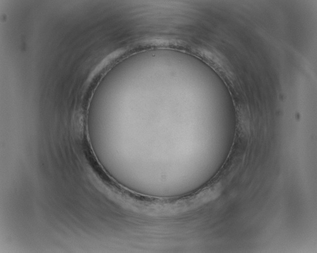 X0000068760016200604281224