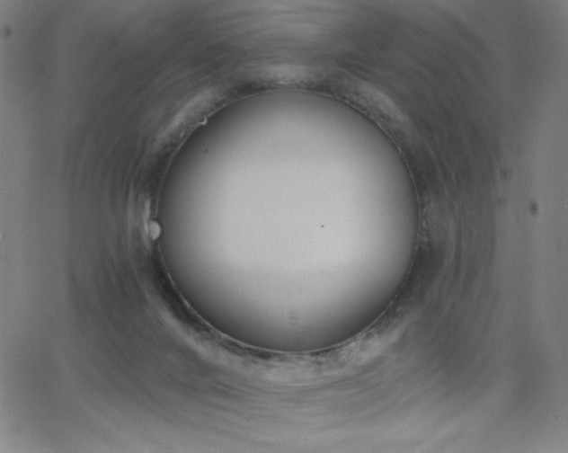 X0000068760024200604281224