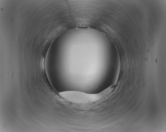 X0000068760041200604281224