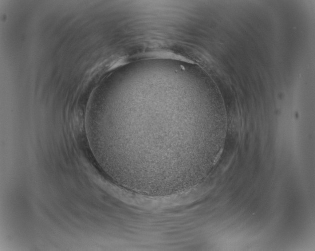 X0000068760043200604281224