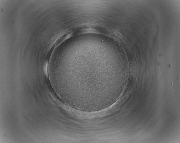 X0000068760047200604281224